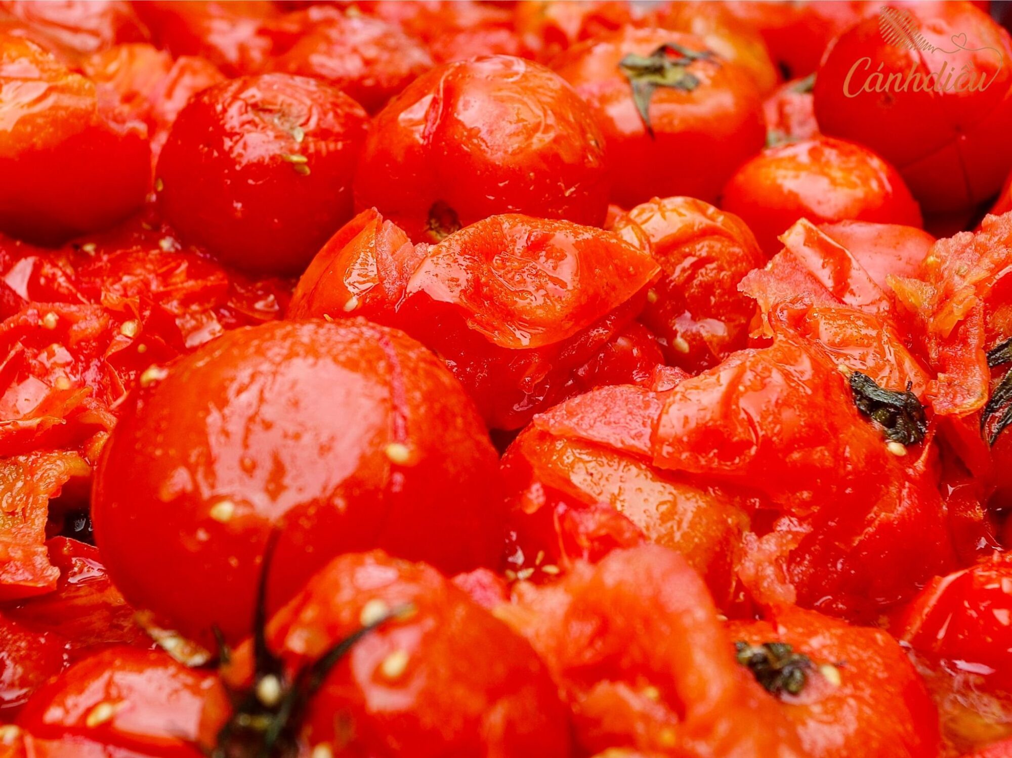 lễ hội cà chua