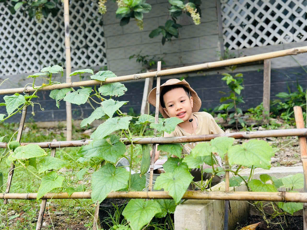 THÁNG NGHỀ NGHIỆP CHO TRẺ MẦM NON DƯỚI GÓC NHÌN KHOA HỌC GIÁO DỤC SỚM
